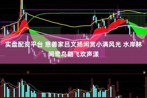 实盘配资平台 慈善家吕文扬闲赏小满风光 水岸林间鹭鸟翩飞欢声漾